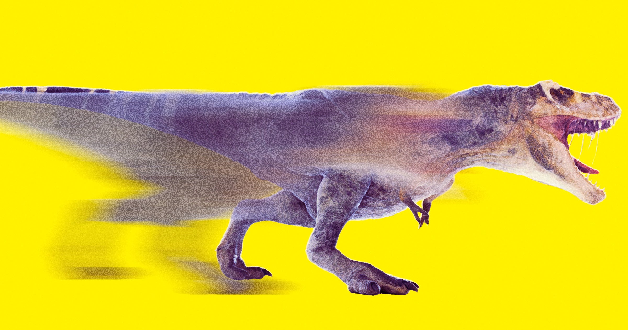 Uncovering Dinosaur Courtship